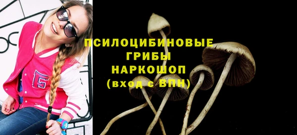 хмурый Елизово