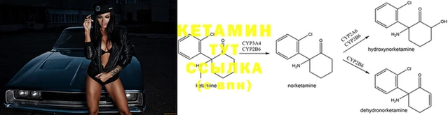 каннабис Ельня