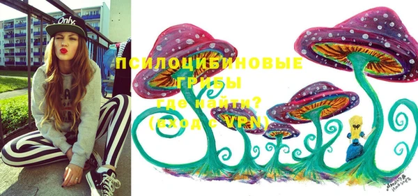 хмурый Елизово