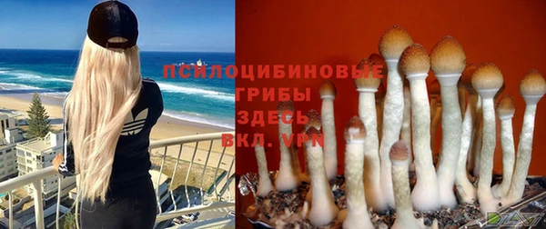 каннабис Ельня