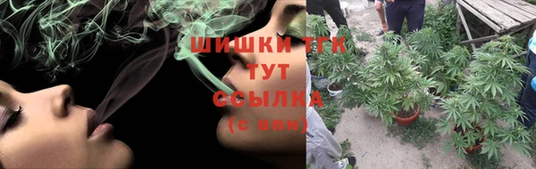 хмурый Елизово