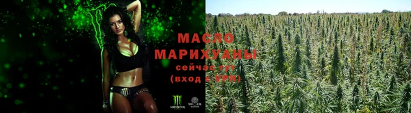 хмурый Елизово