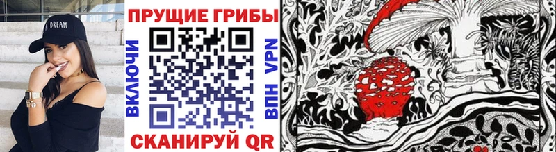 как найти закладки  Нязепетровск  Галлюциногенные грибы прущие грибы 